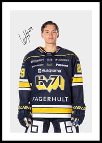 Willhelm Hallquisth #29 HV71 2024/2025-0
