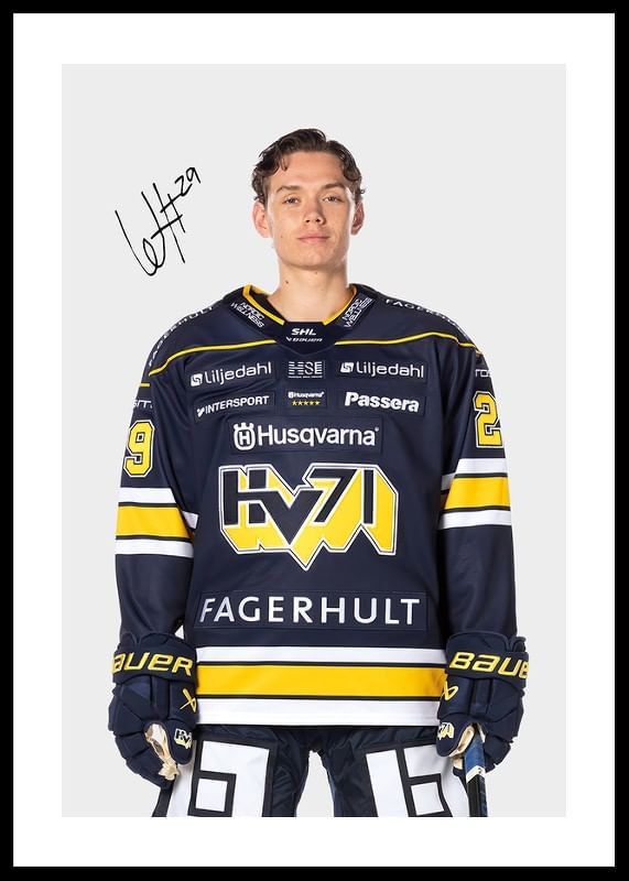 Willhelm Hallquisth #29 HV71 2024/2025-12