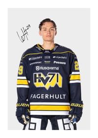 Willhelm Hallquisth #29 HV71 2024/2025-1