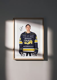 Willhelm Hallquisth #29 HV71 2024/2025-4