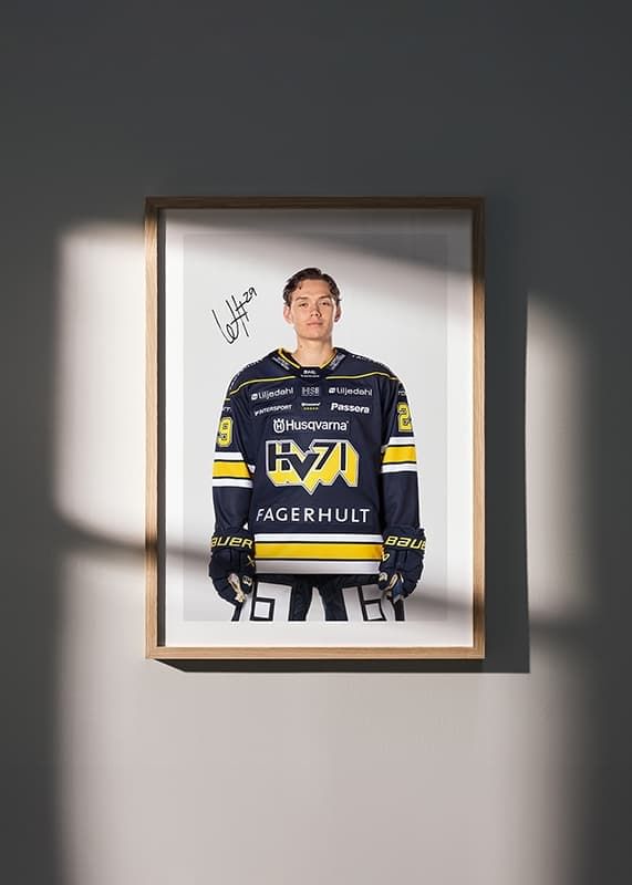 Poster Willhelm Hallquisth #29 HV71 2024/2025 crossfade