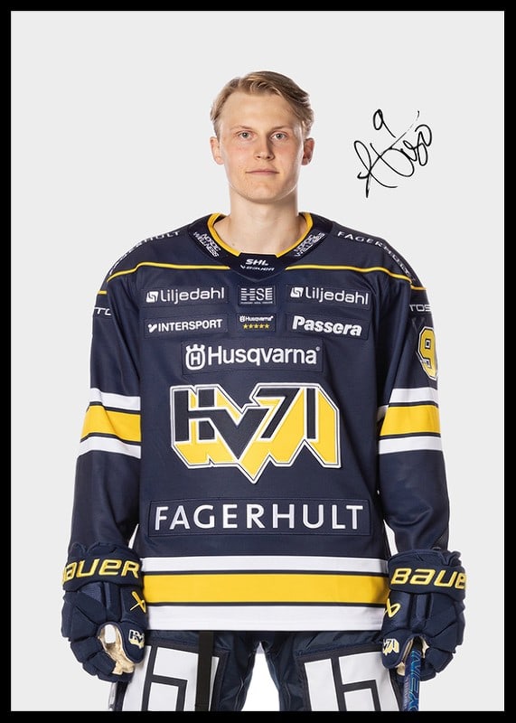 Hugo Pettersson #9 HV71 2024/2025-12