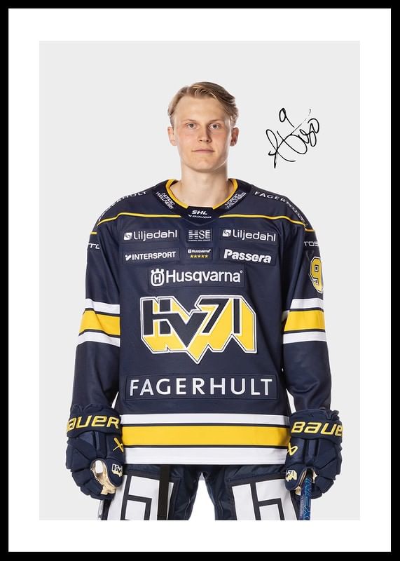Hugo Pettersson #9 HV71 2024/2025-12