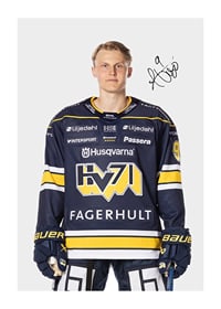 Hugo Pettersson #9 HV71 2024/2025-1