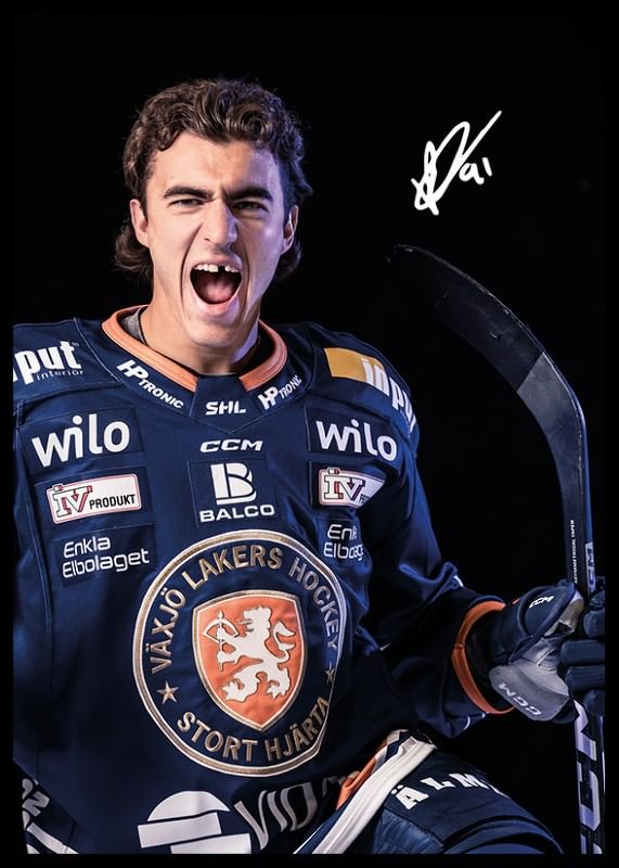Félix Robert #91 Växjö Lakers 2024/2025-12