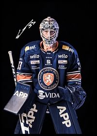 Emil Larmi #33 Växjö Lakers 2024/2025-2