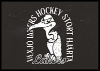 Gamen B&W Växjö Lakers-2