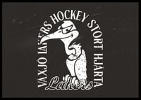 Gamen B&W Växjö Lakers-2
