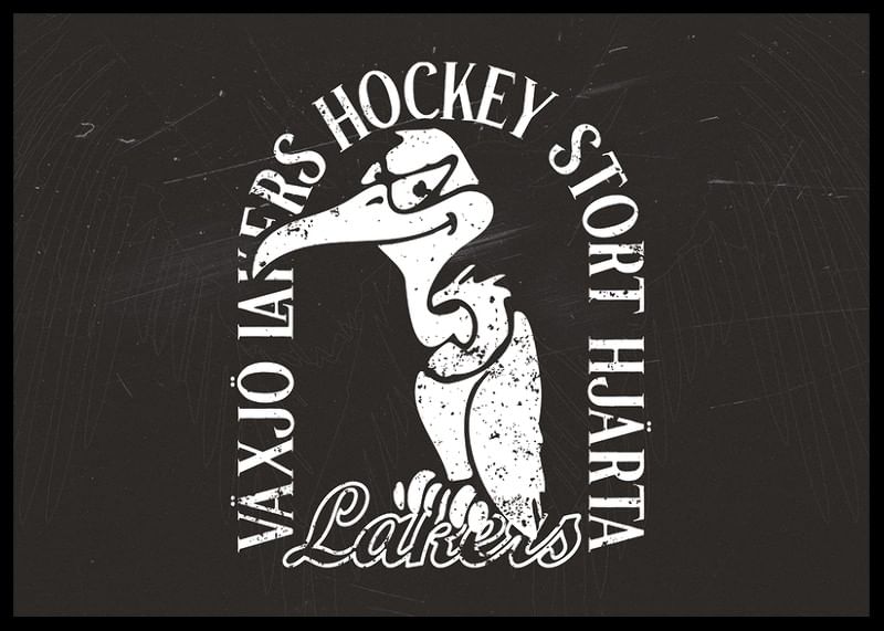 Gamen B&W Växjö Lakers-12