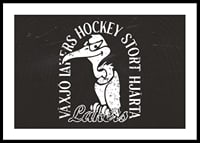 Gamen B&W Växjö Lakers-0