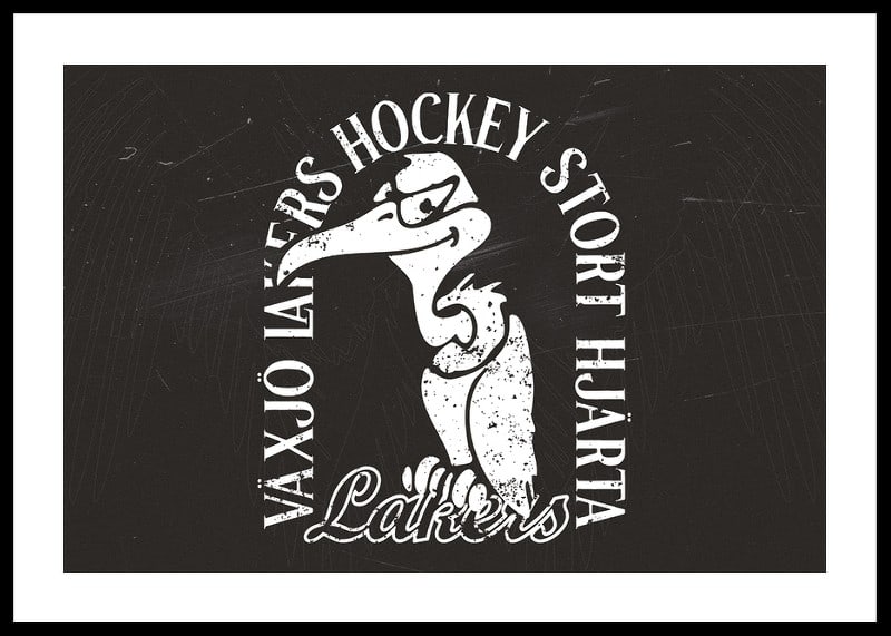 Gamen B&W Växjö Lakers-12