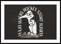 Gamen B&W Växjö Lakers-0