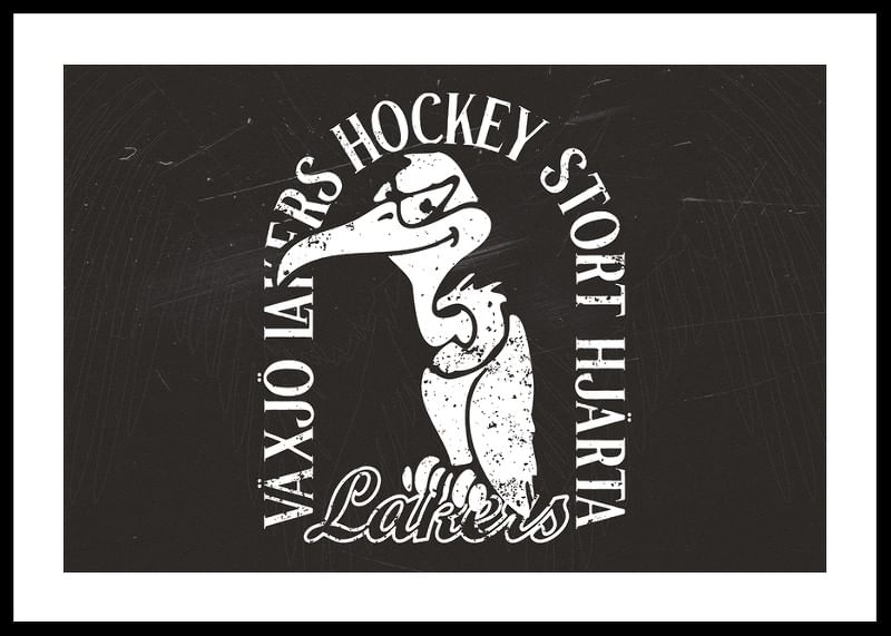 Gamen B&W Växjö Lakers-12