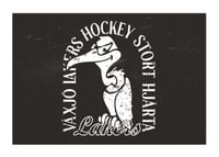 Gamen B&W Växjö Lakers-1
