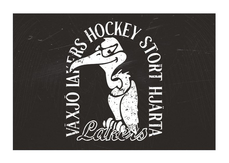 Gamen B&W Växjö Lakers-12