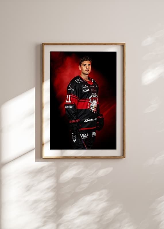 Poster Nikola Pasic #11 Malmö Redhawks No1 2024/2025 crossfade