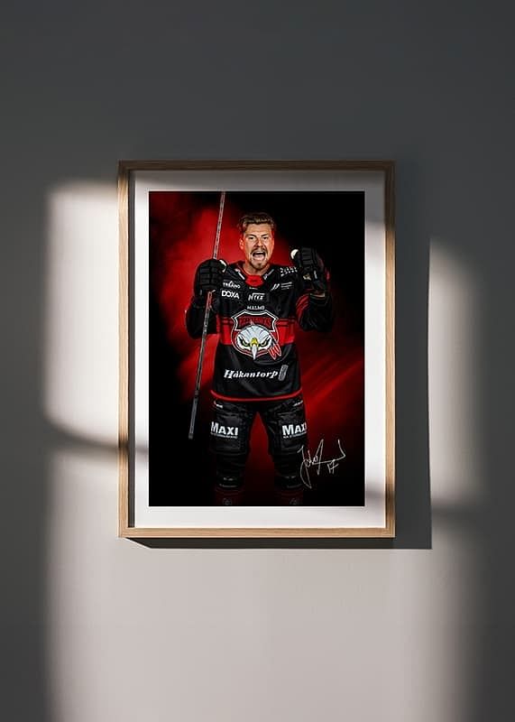 Johan Ivarsson #17 Malmö Redhawks No2 2024/2025-12