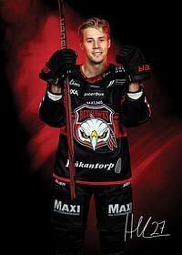 Henrik Haapala #27 Malmö Redhawks No2 2024/2025-3