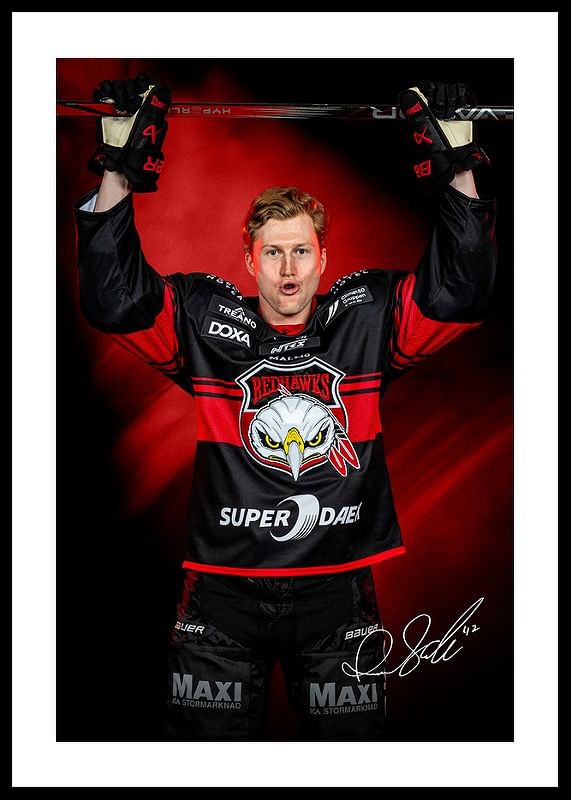 Robin Salo #42 Malmö Redhawks No2 2024/2025-12