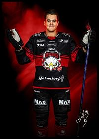 Axel Sundberg #91 Malmö Redhawks No2 2024/2025-2