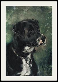 Head of a butcher's dog Dog's head by Anton Romako -4