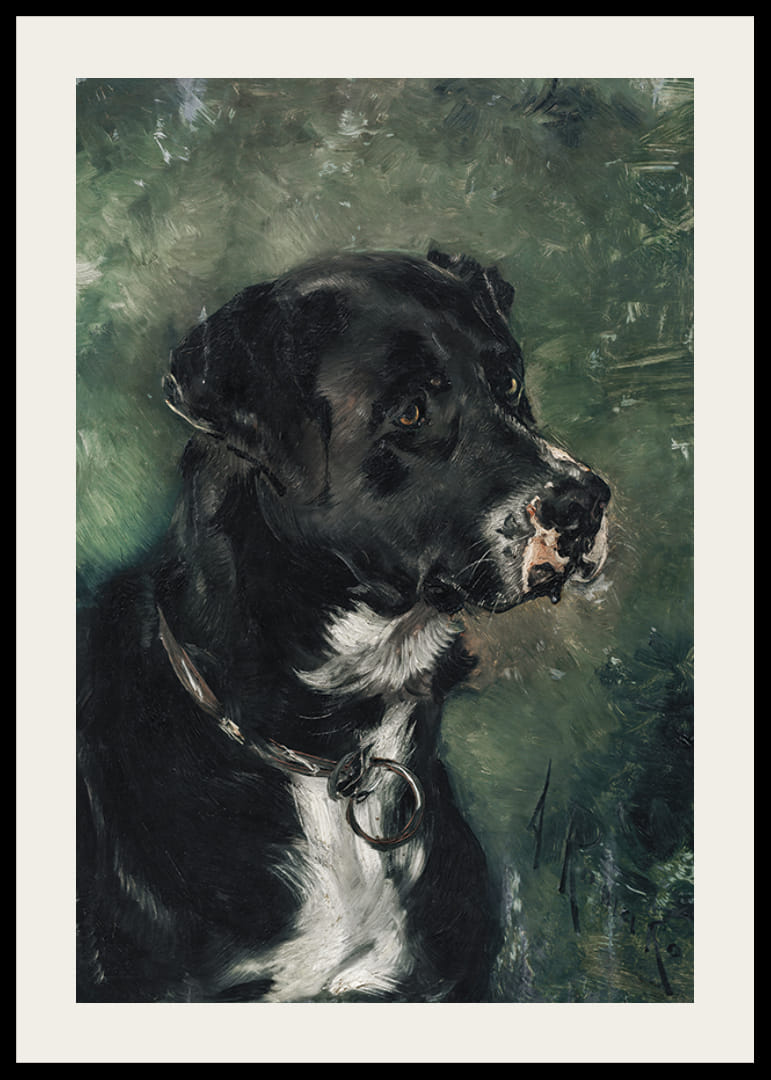 Head of a butcher's dog Dog's head by Anton Romako -12