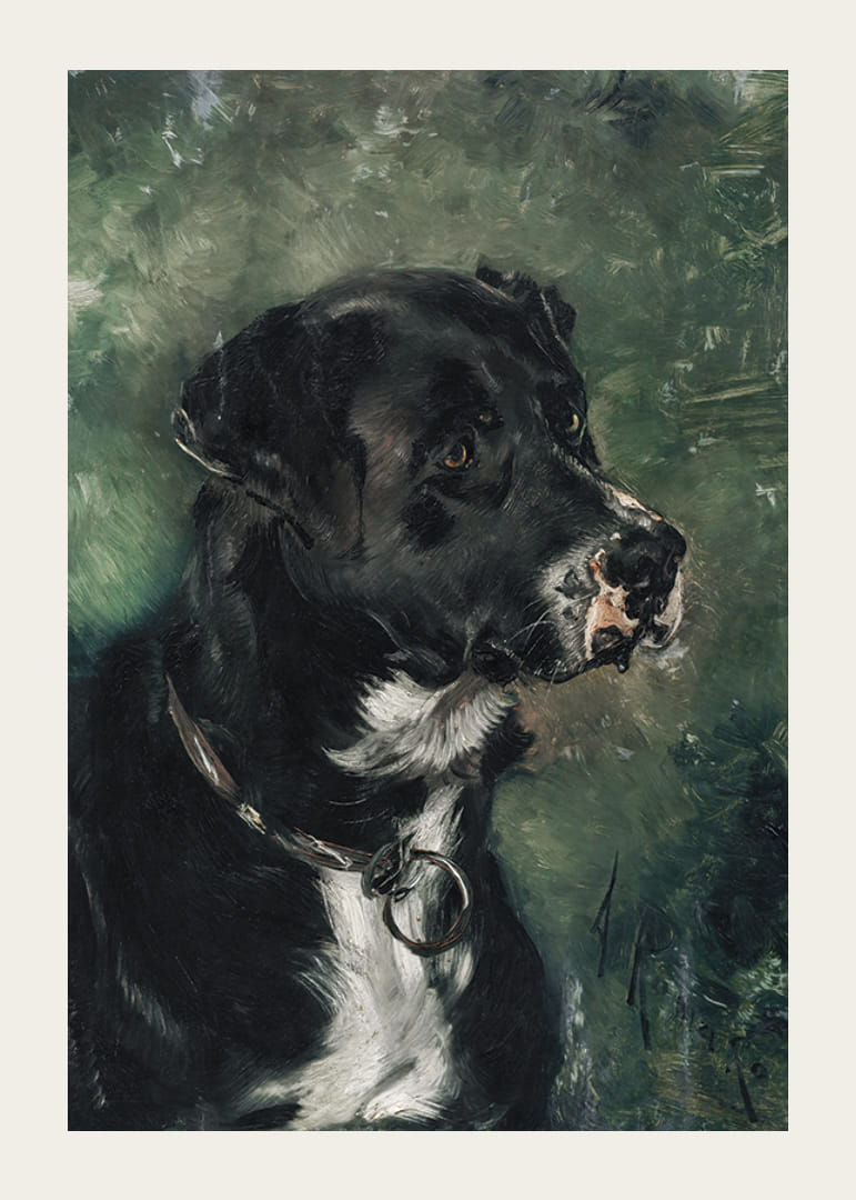 Head of a butcher's dog Dog's head by Anton Romako -12