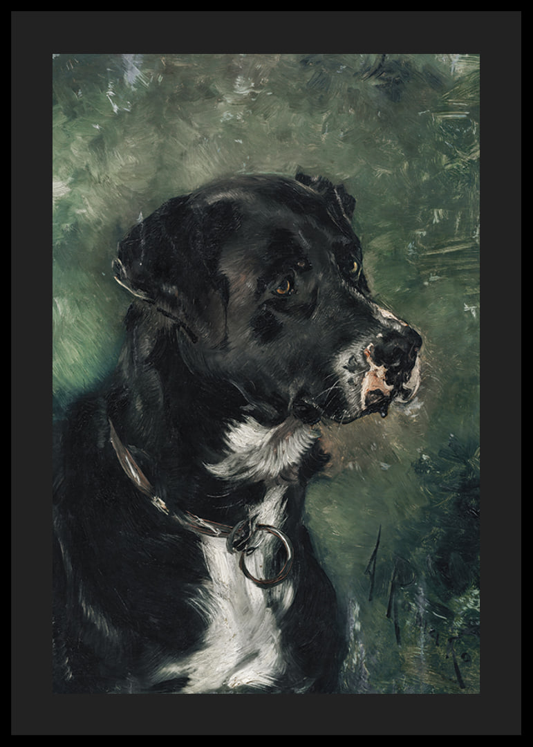 Head of a butcher's dog Dog's head by Anton Romako -12