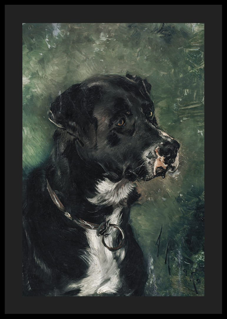 Head of a butcher's dog Dog's head by Anton Romako -12