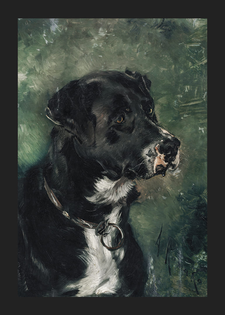 Head of a butcher's dog Dog's head by Anton Romako -12