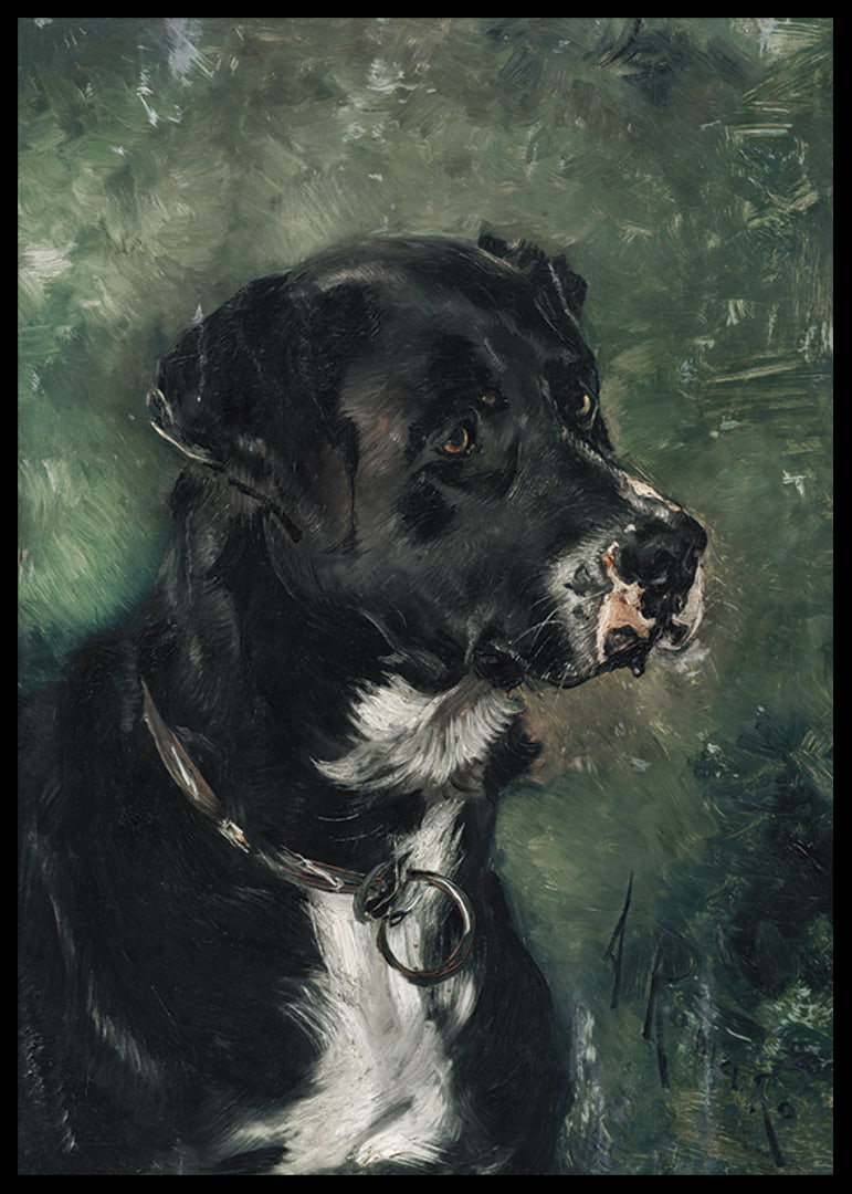 Head of a butcher's dog Dog's head by Anton Romako -12