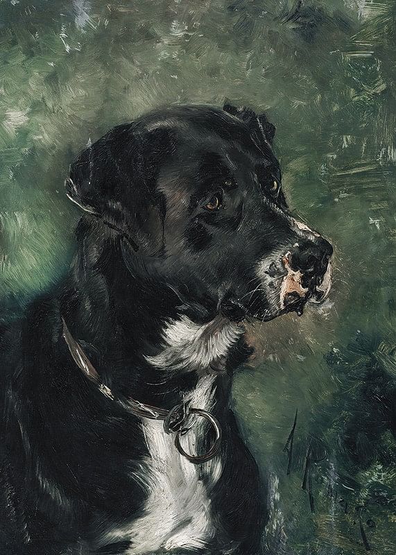 Hodet til en slakterhundhundehode av Anton Romako -12