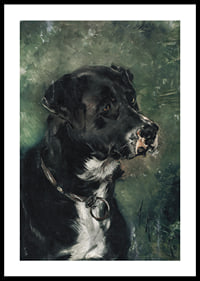 Head of a butcher's dog Dog's head by Anton Romako -2