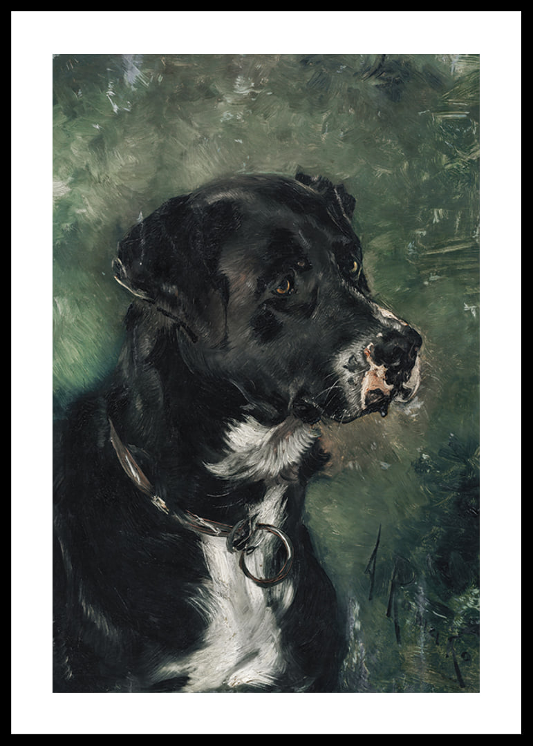 Head of a butcher's dog Dog's head by Anton Romako -12