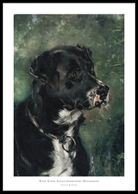 Head of a butcher's dog Dog's head by Anton Romako -0
