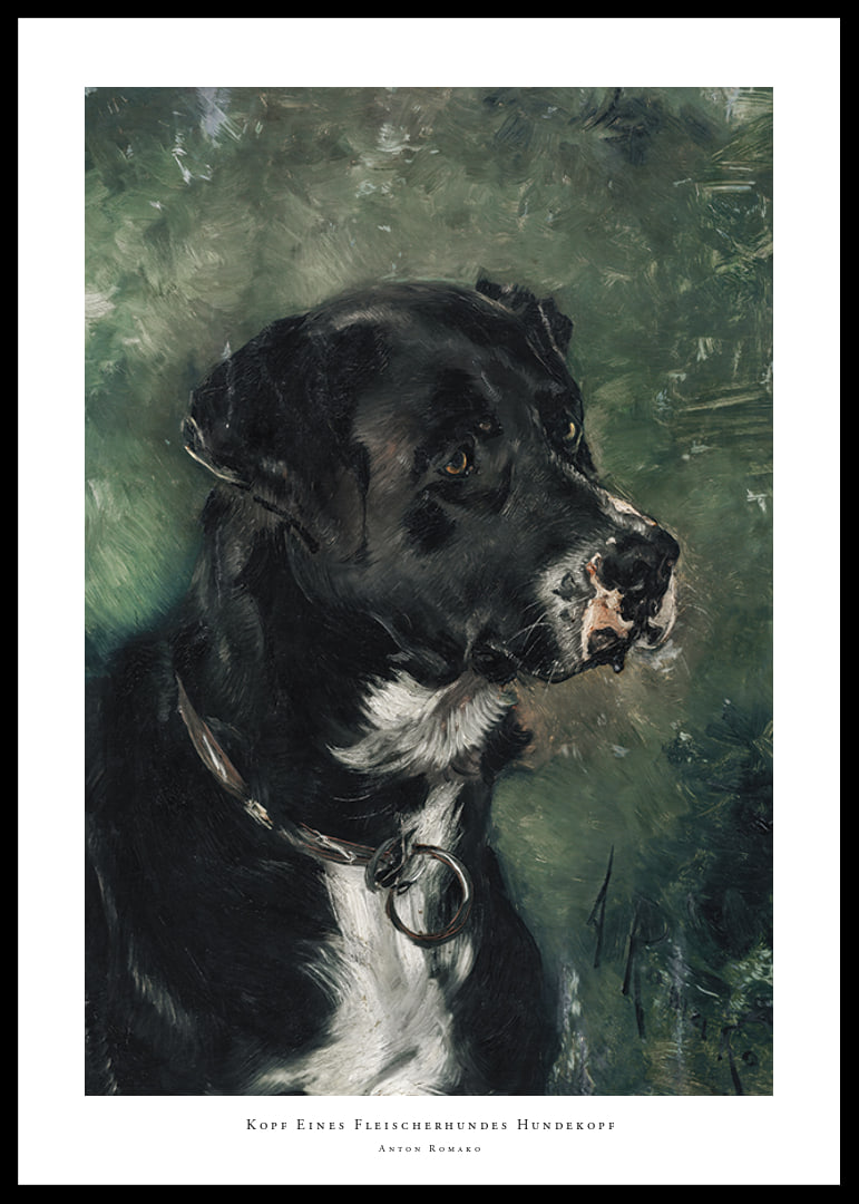 Head of a butcher's dog Dog's head by Anton Romako -12