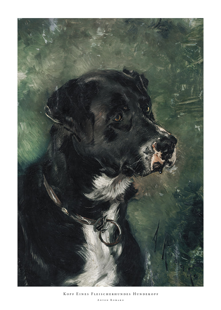 Head of a butcher's dog Dog's head by Anton Romako -12