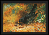 Blackbird By Archibald Thorburn-6