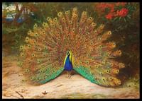Paon et papillon de nuit par Archibald Thorburn-2
