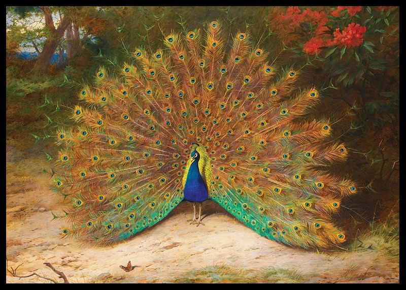 Paon et papillon de nuit par Archibald Thorburn-12