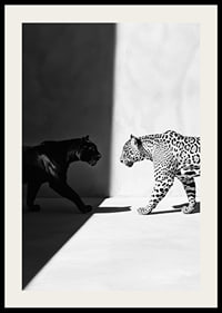 Plakat som viser et møte mellom en svart panter og en leopard-2