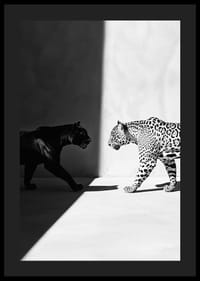Poster met afbeelding van een ontmoeting tussen een zwarte panter en een luipaard-4