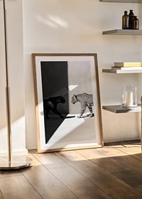Plakat som viser et møte mellom en svart panter og en leopard-8