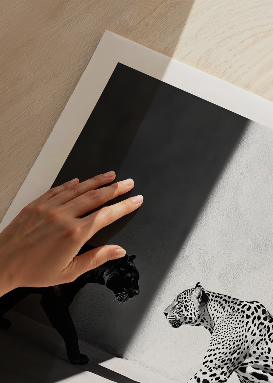 Plakat som viser et møte mellom en svart panter og en leopard-12