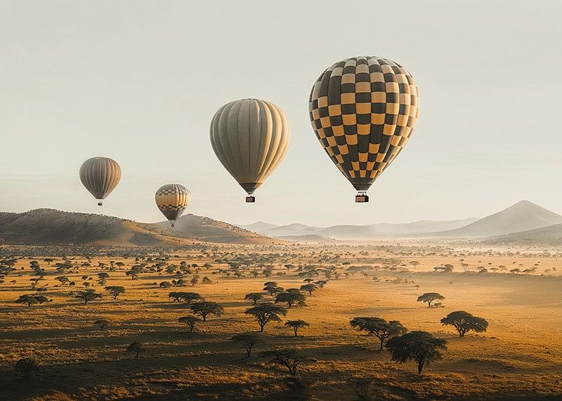 Poster cu baloane cu aer cald plutind deasupra unei savane frumoase-12