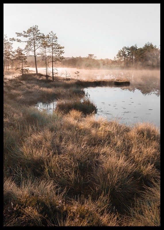 Poster med en vacker naturbild över en dimmig våtmark-12
