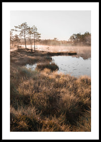 Poster med en vacker naturbild över en dimmig våtmark-0