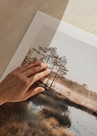Poster med en vacker naturbild över en dimmig våtmark-9