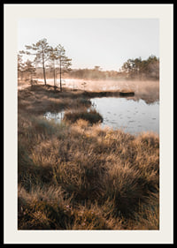 Poster med en vacker naturbild över en dimmig våtmark-2