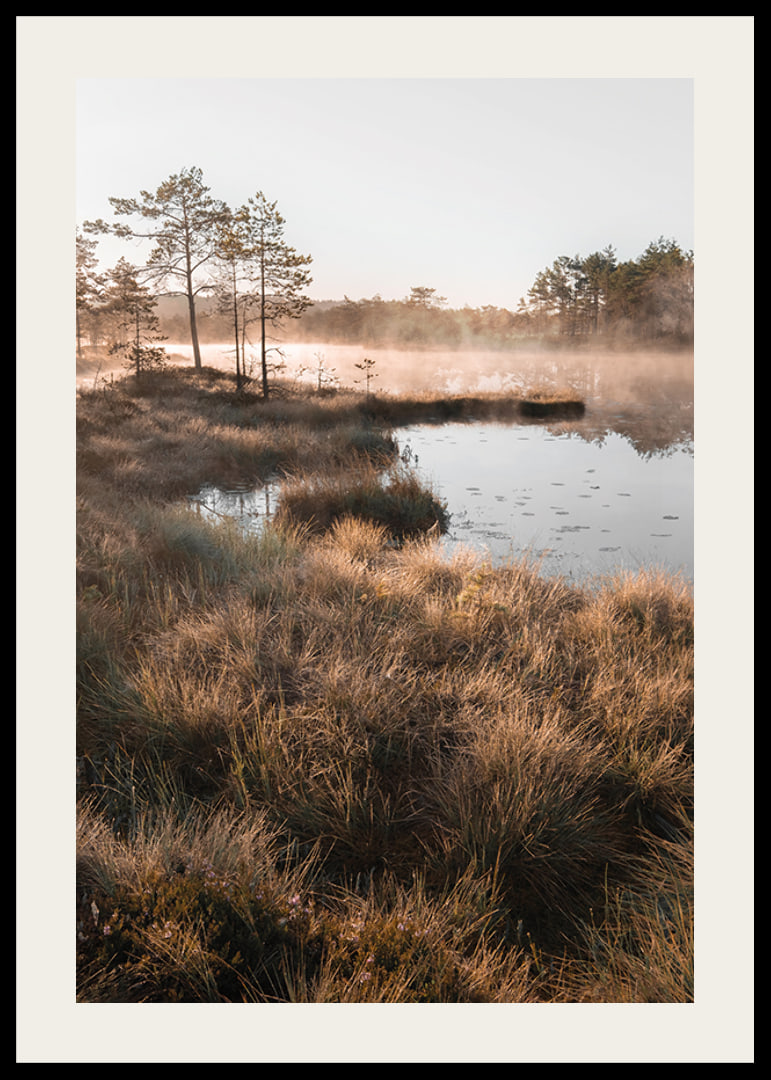 Poster med en vacker naturbild över en dimmig våtmark-12